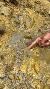 86K views · 1K reactions | Mendulang emas | vidio mencari emas | gold prospector | panning for $100,000 worth of gold hunter pure gold #goldmining #fyp #viral #vidioviral #goldhunting #goldprospecting #goldhunter #goldpanning #vidiopencariemas #goldmining | Otriadi | Facebook