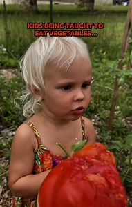 #vegetables #pesticides | Vegetable