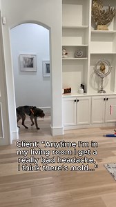 1.8M views · 5.7K reactions | Xia’s on the job again, and this time...