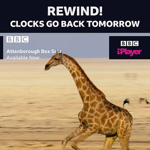 114K views · 867 reactions | Bring on the extra hour in bed!  | BBC iPlayer | Facebook