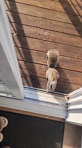 Bon matin lol | Melanie Belanger