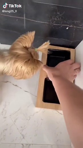 She doesn’t like vegetarian 😅#dog #pet #foryou