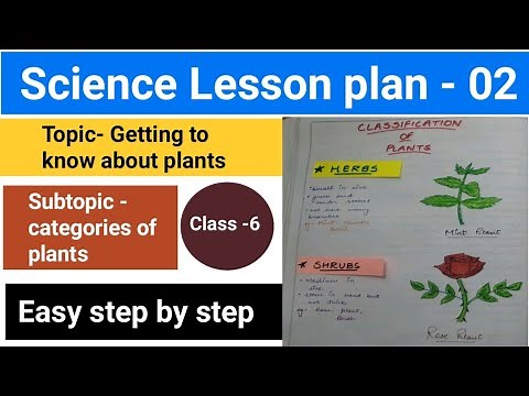 Science Lesson plan | Class 6 | Topic- Getting to know about plants | Categories of plants | B.Ed