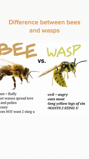 dancingbeehoney_uk on TikTok