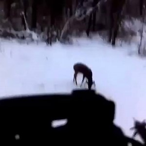 4 comments | What are your thoughts on crossbow hunting? VC Huntuntamed • • • #huntinglife #huntingseason #hunting #bow #bowhuntinglife #bowhunting #crossbow #deer #deerhunting #hunt #huntress #hunter # | Dark Energy | Facebook