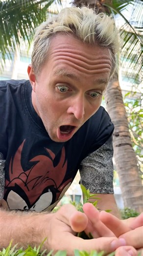 Stranger things happen near pool 😱#horrorshorts #horrorstories #crazykozak