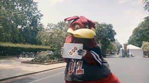 Cocky knows. Wear. Your. Garnet. #Gamecocks I #CollegeColorsDay | South Carolina Gamecocks