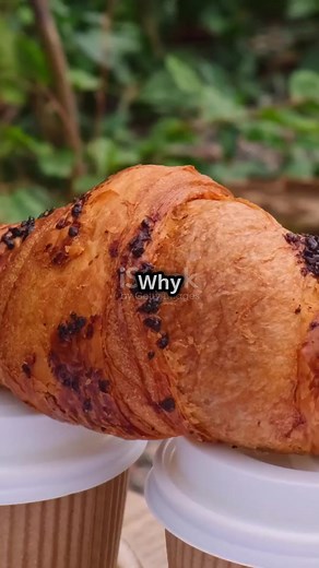 The Power of Gratitude: Thankfulness in Scripture #PowerOfGratitude #ThankfulnessInScripture #MotivationalVideo #Gratitude #Thankfulness #SpiritualJourney #BiblicalWisdom #InspirationalMessage #CultivateGratitude #FaithAndJoy | Taraki Tv