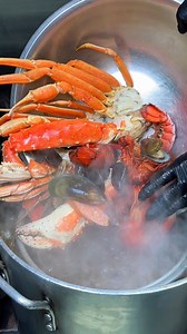 176K views · 2.8K reactions | These beauties are all lined up and...