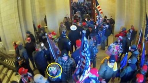 Naples woman arrested on felony and misdemeanor charges related to Jan. 6 Capitol breach