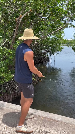 11K views · 146 reactions | The Precision Casting rods are saltwater approved!!!! #ctf #ctfangler #catchthefever #fishing #ifishlife #fyp #reel #reels #nature #wildlife #nature #ctfangler #salt #saltwater #saltlife | Slime Line Fishing Line | Facebook