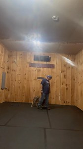 Off leash heeling | Trifecta Kennels