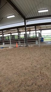 1.5K views · 16 reactions | We explore a gentle approach to horse training, focusing on building trust and giving the horse time to process and relax during roping exercises. Learn how this method improves results. #HorseTraining #GentleRoping #HorseTrust #Horsemanship #EquineTraining #RopingTechniques #HorseCare #AnimalWelfare #EquestrianLife #BuildingConfidence | Ed's Walking Horses | Facebook