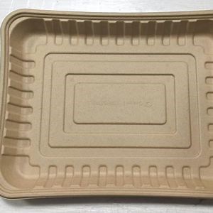 [Hot Item] Poultry Meat Fish Packaging Supermarket Frozen Meat Food Dispposable Sugarcane Bagasse Trays