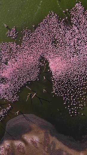 2.2K views · 35 reactions | MajesticRight  Take a trip to The rift...