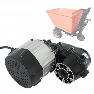 [Hot Item] 48V1000W DC Brushless Motor Differential Assembly BLDC Low Speed Permanent Magnet Electric Trike Tricycle Four-Wheel Vehicle