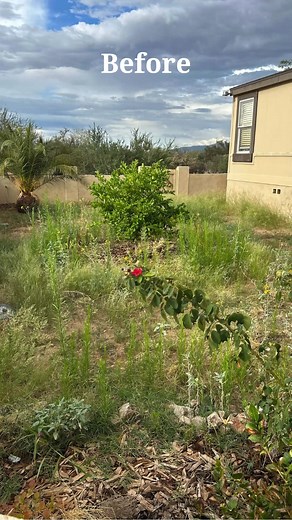 Define your yard with Beuta steel edging. Our sleek & durable corten steel exudes natural character with a warm patina. | Beuta