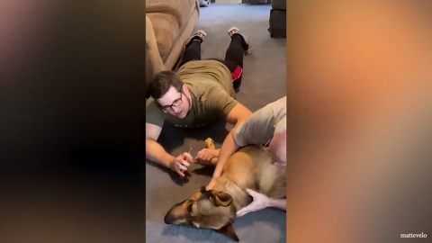 Dogs act like natural comedians caught on camera daily