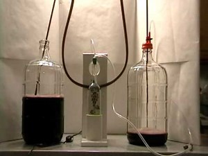 Bottling, Racking , Filtering , CO2 removal using the Allinonewinepump .