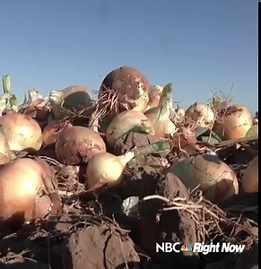 27K views · 418 reactions | A sweet trade: A former banker takes up...