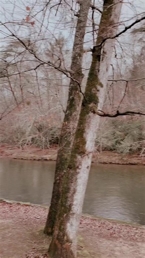 3.5K views · 300 reactions | Spending the weekend in beautiful Cherokee, NC!! | Levi Hummon | Facebook