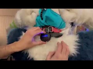 Locking blue wolf fursuit