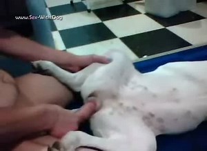 Startn Out With My Female Pit Beastfemale My Girl2