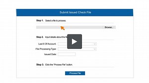 Submit New Issued Check File