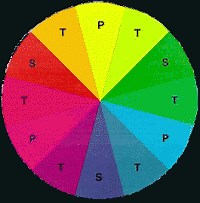 Descubre los colores