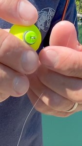 10K views · 61 reactions | For those who are just getting started with fishing, a bobber is a great piece of tackle for knowing when you have a bite. Learn more beginner fishing tips here: https://bit.ly/4gS9xVn | Bass Pro Shops | Facebook