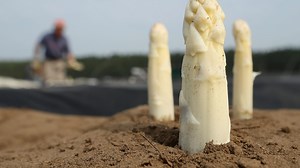 Meet the robots that can pick and plant better than we can