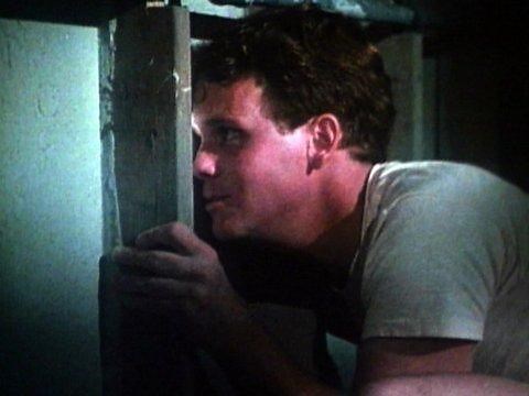 Porky's (1981)