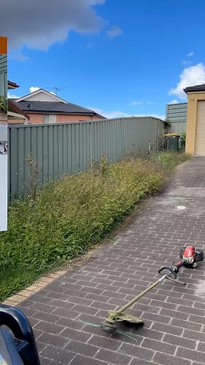 69K views · 564 reactions | Garden beds makeover For more watching please follow: #davidsmowingsydney #satisfying #transformation #oddlysatisfying #australia #sydney #garden #gardening #foryou #fyp #fypシ #makeover #hedgetrimming #business #trending #viral #tree #gym #homemade #homedecor #workout #barbie #garten #art #hedge #naturelovers #fashion #beforeandafter #beach #edge | David's Mowing Sydney NSW | Facebook