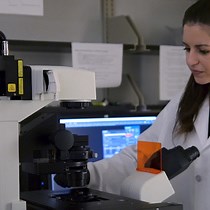 Video: Fluorescent Calcium Imaging and Subsequent In Situ Hybridization for Neuronal Precursor Characterization in Xenopus laevis