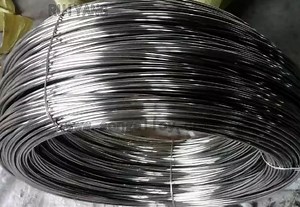 [Hot Item] Stainless Steel Wire Rod in Metal Wire Building Material