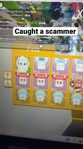 I found a scammer in saber simulator