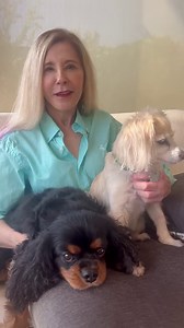 You can meet Pamela Hayden - Producer, Writer and Subject of JAILHOUSE TO MILHOUSE - at the screenings of her documentary this weekend! 🍿 10/14 at 5pm at Living Room Theaters Indy and 10/15 at 2:45pm at Emagine Theatres. 🎟️ Get tickets while supplies last! bit.ly/HIFF32Milhouse 🎬 Jailhouse to Milhouse is the courageous journey of Pamela Hayden, voice of the plucky, resilient Milhouse on "The Simpsons”: After surviving an abusive boarding school and juvenile jail, as well as other setbacks, Pa