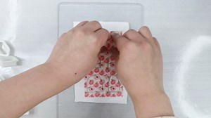 Briartw Woodland Wonders Pattern Polymer Clay Transfer Paper - 20 Sheets (Per Pattern 5 Sheets) Transfer Sheets for Polymer Clay,Per Sheet 3.93 x 5.82 inch Transfer Paper for DIY Clay Jewelry