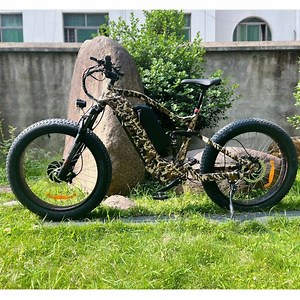 [Hot Item] Customized 48V 26 Inch Fat Tire Dual Battery Awd Drive Electric Bike Fatbike Dual Battery E-Bike