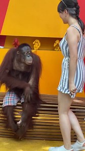 mono inteligente con niña bonita #monkey #animals #monkeys #wildlife #nature #animal #monkeysofinstagram #photography #memes #wildlifephotography #zoo #Love #art #naturephotography #funny #ape #primate #animalphotography #cute | Peruanas bonitas Oficial