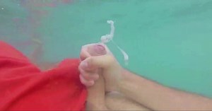 Welsh Wet Willy Wednesday