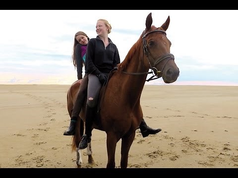 OF GIRLS AND HORSES - Nederlandse trailer