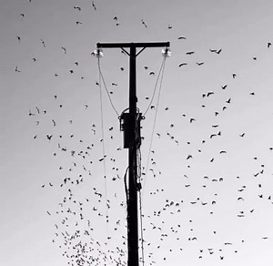 5 comments | spreading out meaning ✨☺️ | Sancha.Co | Facebook