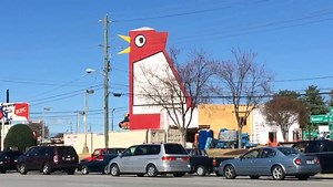 14K views · 461 reactions | We've seen the eagle cam, the giraffe cam, the panda cam...and now, an ATL original: the BIG CHICKEN CAM! #thebeakismovingagain!  | Star 94 Atlanta | Facebook