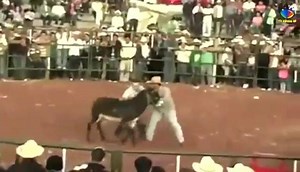 حمار قوي من الصعب الركوب عليه !! | عالم الحيوانات