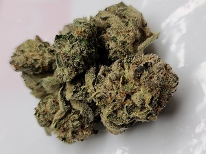 The Lime | Marijuana Strain Reviews