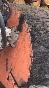 Bog oak woodworking | Belko Wood