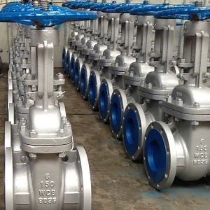 [Hot Item] API600 Wcb Flanged Gate Valve