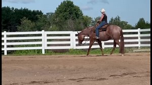 APHA WESTERN ALL AROUND Super cute and consistent 2018 APHA mare by A Good Zippo out of Radically Idolized. Multiple wins and PtHA points in Pleasure and she’s show ready! For more information and video please visit www.whittingtonequine.com | Whittington Equine Marketing Group