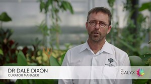 1.3K views · 73 reactions | Botanic Gardens of Sydney on Reels | Facebook